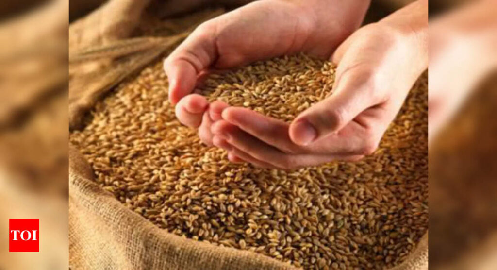 Govt hikes wheat MSP by Rs 40 to Rs 2,015 per quintal for 2021-22 crop year - Times of India