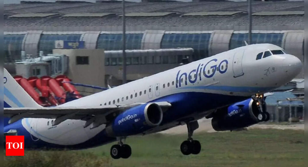 IndiGo to start 38 domestic flights in September - Times of India