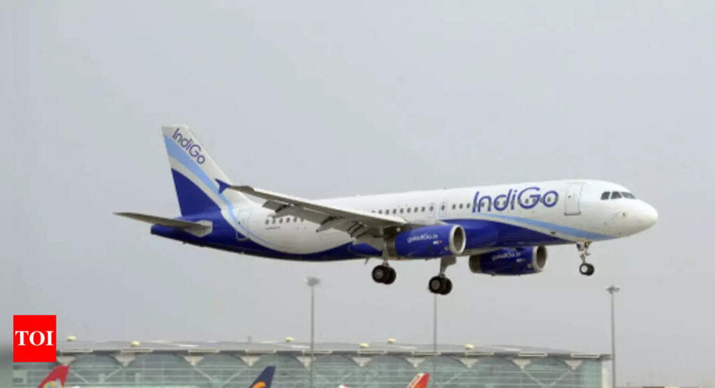 India nonstops on the way, American Airlines codeshares with IndiGo for India connections - Times of India