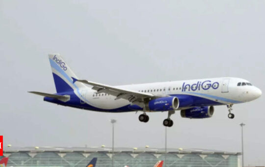 India nonstops on the way, American Airlines codeshares with IndiGo for India connections - Times of India
