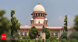 Keep tax regime simple to check dodging, Supreme Court tells govt | India News - Times of India