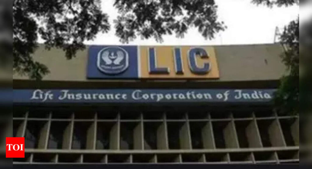 LIC IPO may impact jobs, social spending, Union warns - Times of India