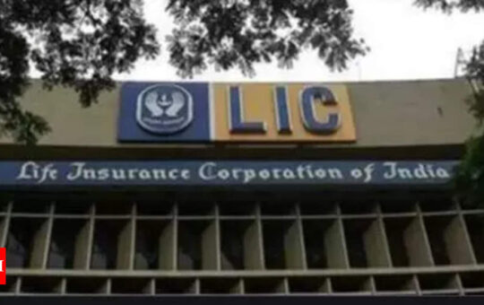 LIC IPO may impact jobs, social spending, Union warns - Times of India