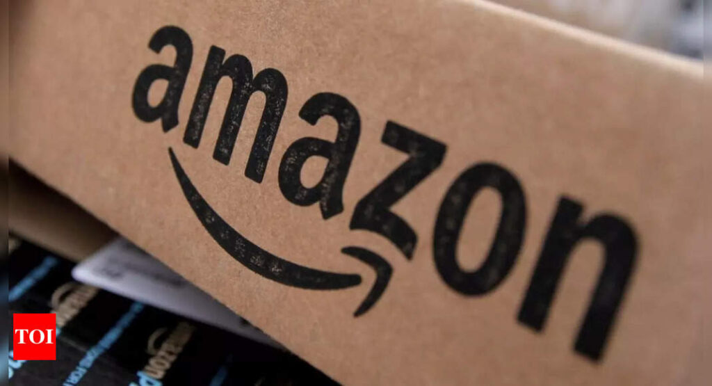 We take allegations of improper actions seriously, investigate them fully: Amazon - Times of India