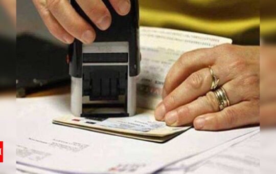 covid 19:  Tourism industry welcomes Centre's move of resuming visa services - Times of India