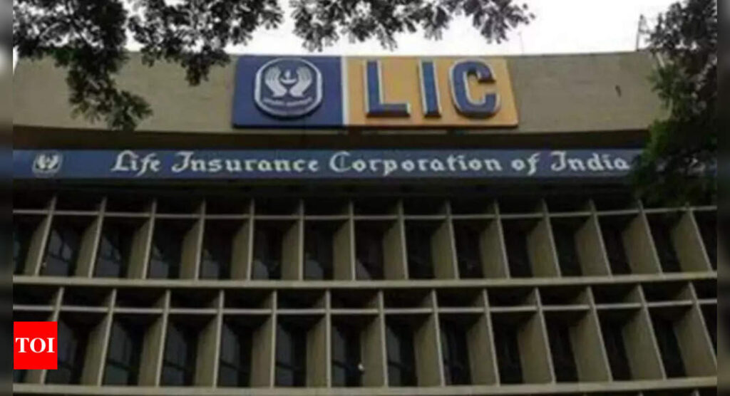 ‘Private companies can’t be used as benchmark to value LIC’ - Times of India