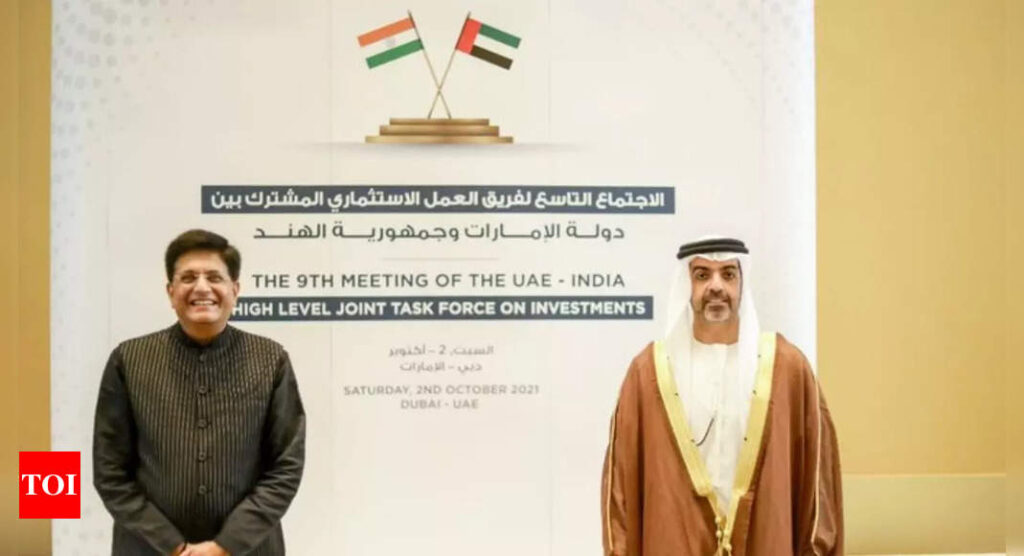 India, UAE discuss ways to facilitate investments - Times of India