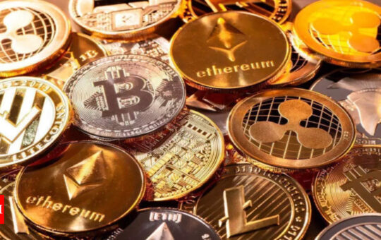 Cryptoverse: Will you grow old with bitcoin? - Times of India