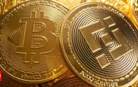 India finalising consultation paper on crypto currencies: DEA secretary - Times of India