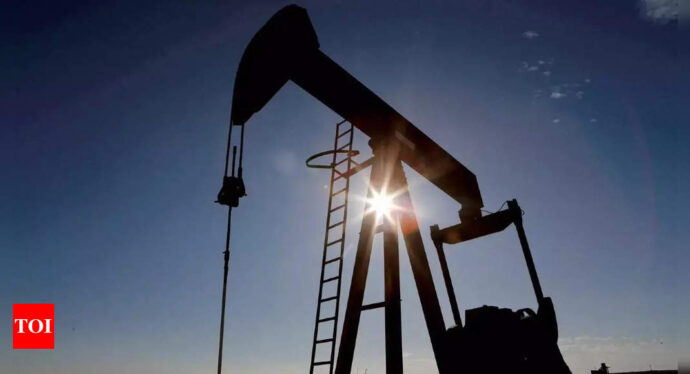 'India to continue buying cheap Russian oil, discount to be finalised' - Times of India