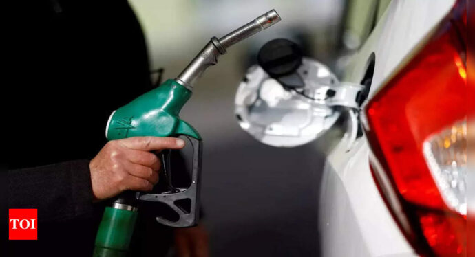 Petrol Diesel Price: Petrol under-recovery at Rs 13, diesel Rs 24; Reliance-BP says operations unsustainable | India Business News - Times of India