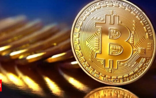 Bitcoin drops below $20,000 as crypto selloff quickens - Times of India