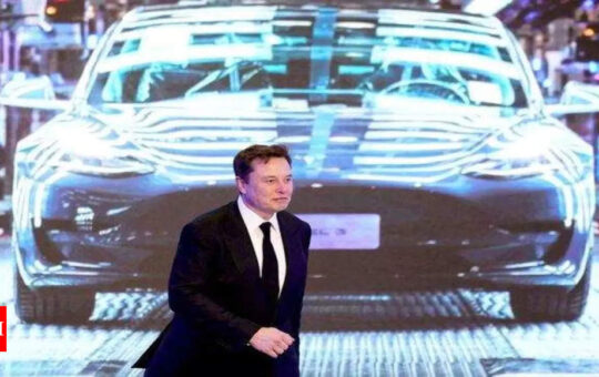 Elon Musk sued for $258 billion over alleged Dogecoin pyramid scheme - Times of India