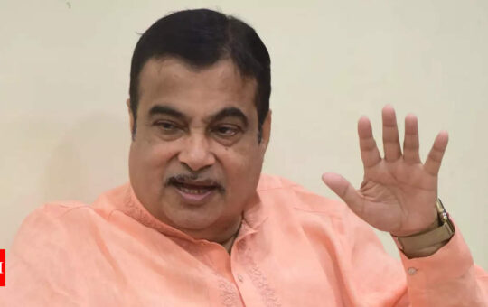 Gadkari says his ministry set 5 world records this year, hails hard work of stakeholders - Times of India