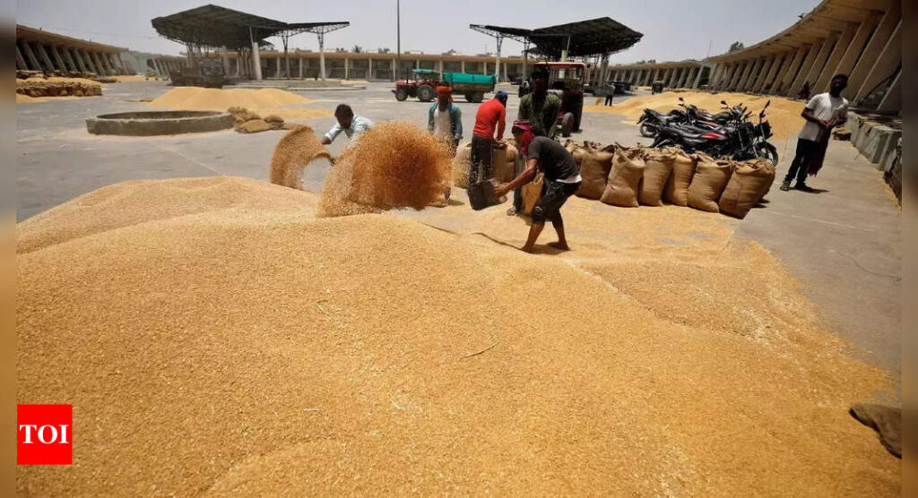 India allows small amount of wheat to move out after ban, big stocks still stuck - Times of India