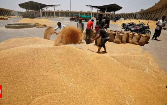India allows small amount of wheat to move out after ban, big stocks still stuck - Times of India