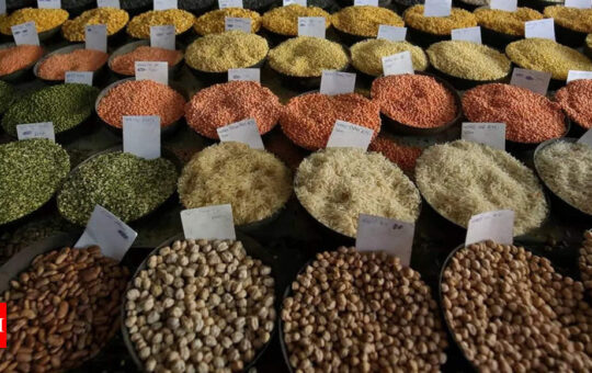 India says no plans for now to curb food exports - Times of India