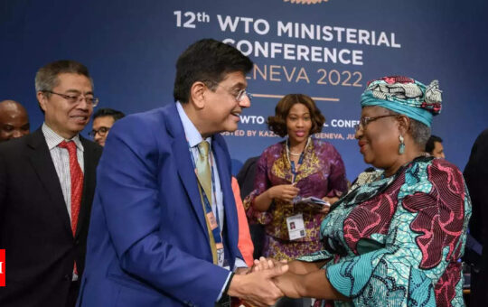 India scores big at WTO, ministerial conference sees some landmark decisions - Times of India