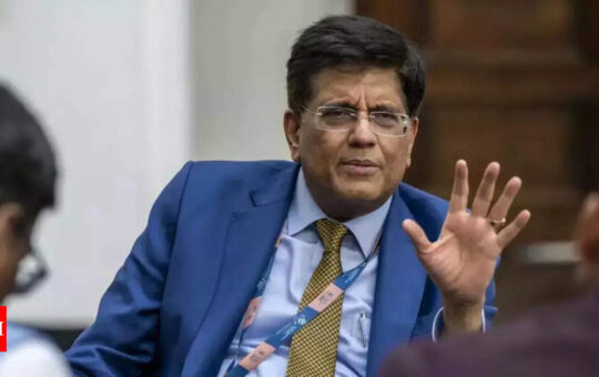 Indian economy may touch USD 30 tn in next 30 years: Goyal - Times of India