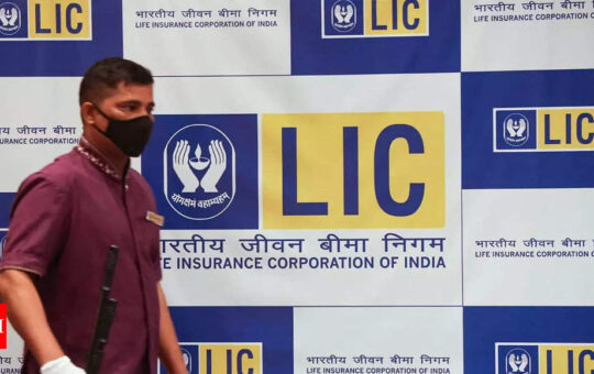 LIC IPO: A $17 billion loss puts LIC IPO among top Asia wealth losers | India Business News - Times of India
