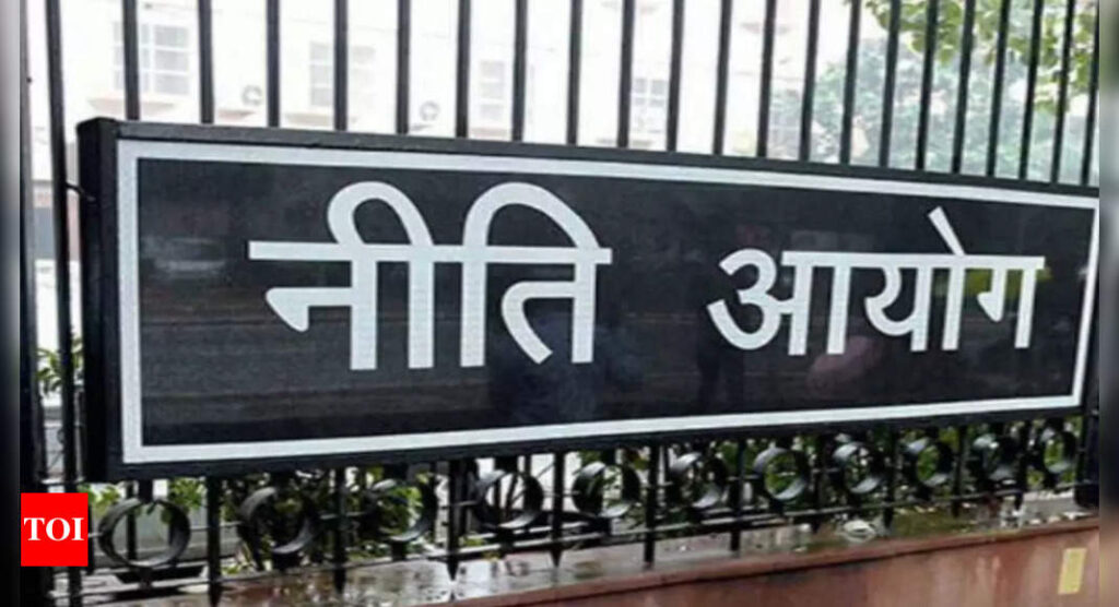 Parameswaran Iyer appointed as CEO of NITI Aayog - Times of India