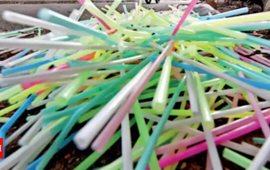 Plastic Straws Ban: Delay ban on plastic straws; Beverage companies to government | India Business News - Times of India