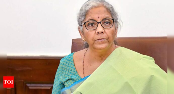 Retail investors are like 'shock absorbers': Finance minister - Times of India