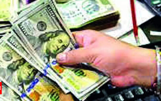 Stronger dollar will add to inflation - Times of India