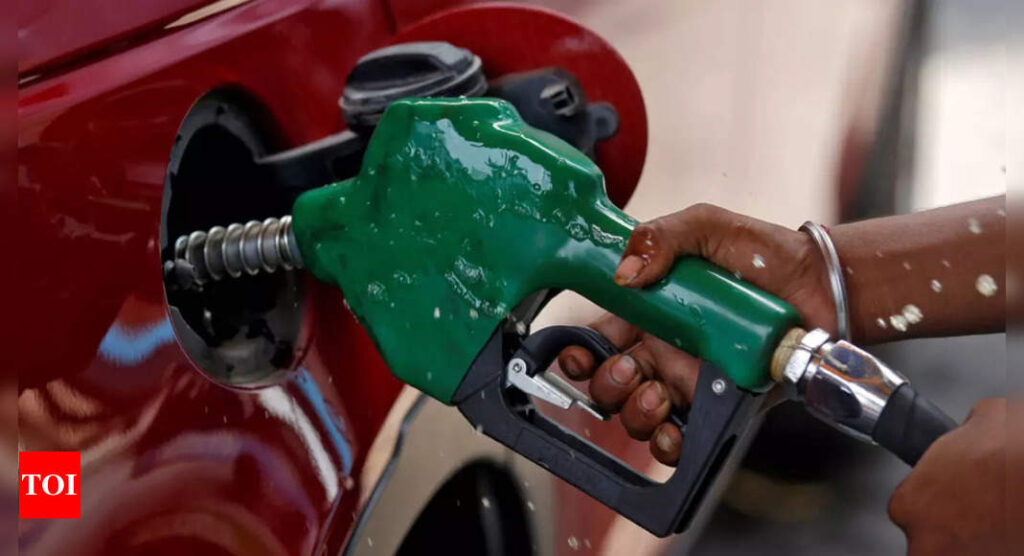 To rein in pvt retailers, govt expands USO to remote petrol pumps - Times of India