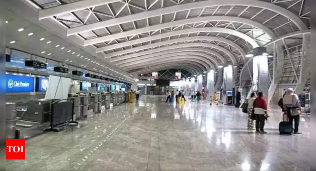 Twin bird hits sends alarm bells ringing; DGCA asks airports to act quickly to minimise risk - Times of India