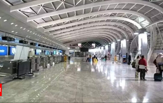 Twin bird hits sends alarm bells ringing; DGCA asks airports to act quickly to minimise risk - Times of India