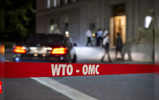 WTO agrees deals on fishing subsidies, food security, Covid vaccines - Times of India
