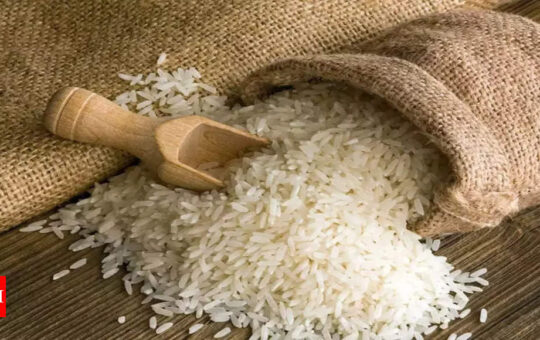 Why India holds the key to global rice market outlook - Times of India