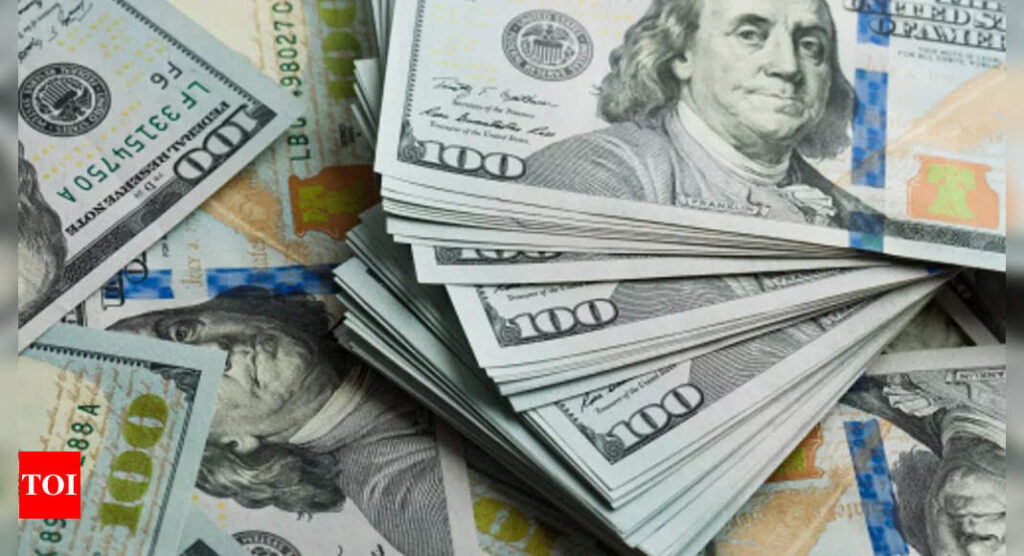 World’s richest lost $1.4 trillion in 2022 after rapid gains - Times of India