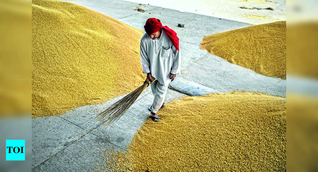 wto:  WTO meet may take up food products export ban - Times of India