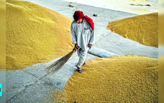 wto:  WTO meet may take up food products export ban - Times of India