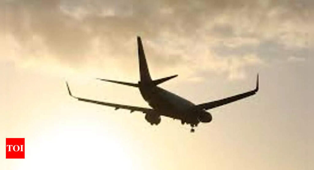 Airfares likely to dip in coming months: Centre for Asia Pacific Aviation - Times of India