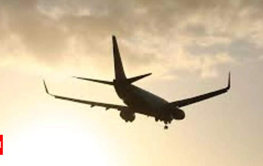 Airfares likely to dip in coming months: Centre for Asia Pacific Aviation - Times of India