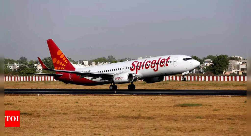 DGCA conducts spot checks on 48 SpiceJet aircraft; finds no major safety violation: Govt - Times of India