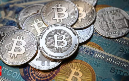 EU agrees rules to tame 'Wild West' crypto market - Times of India