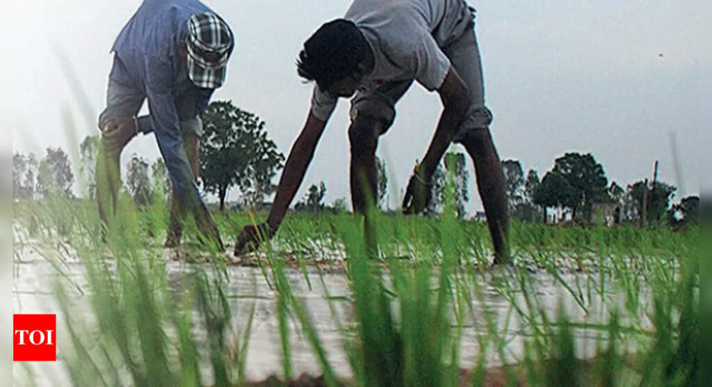 Explained: India's economic outlook at the mercy of monsoon - Times of India