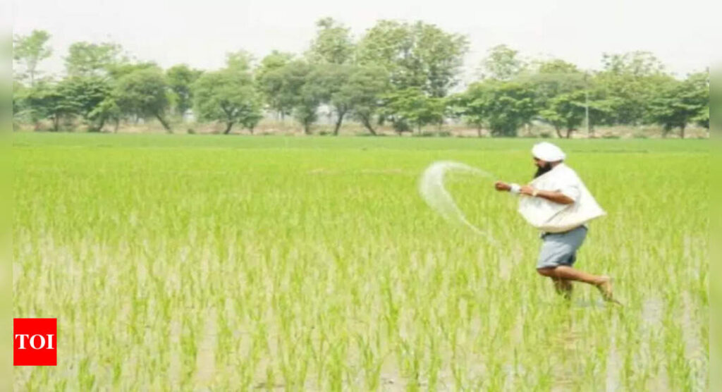 Farmers' income doubled for certain crops in past 5 years, shows SBI study - Times of India