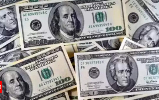 Forex reserves fall $1.15 billion to $571.56 billion - Times of India