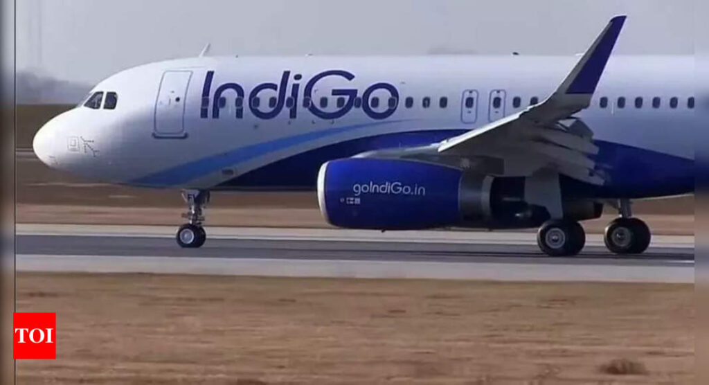 IndiGo Sharjah-Hyderabad flight diverted to Pakistan's Karachi after pilot reports technical defect | India Business News - Times of India
