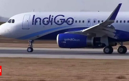 IndiGo Sharjah-Hyderabad flight diverted to Pakistan's Karachi after pilot reports technical defect | India Business News - Times of India