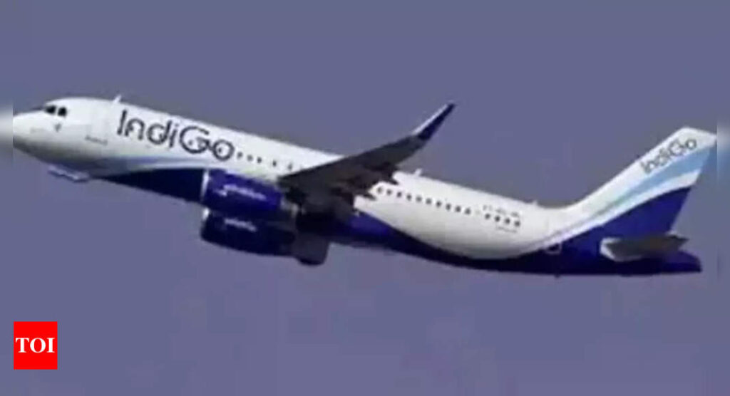 IndiGo and Turkish airline resume codeshare agreement - Times of India