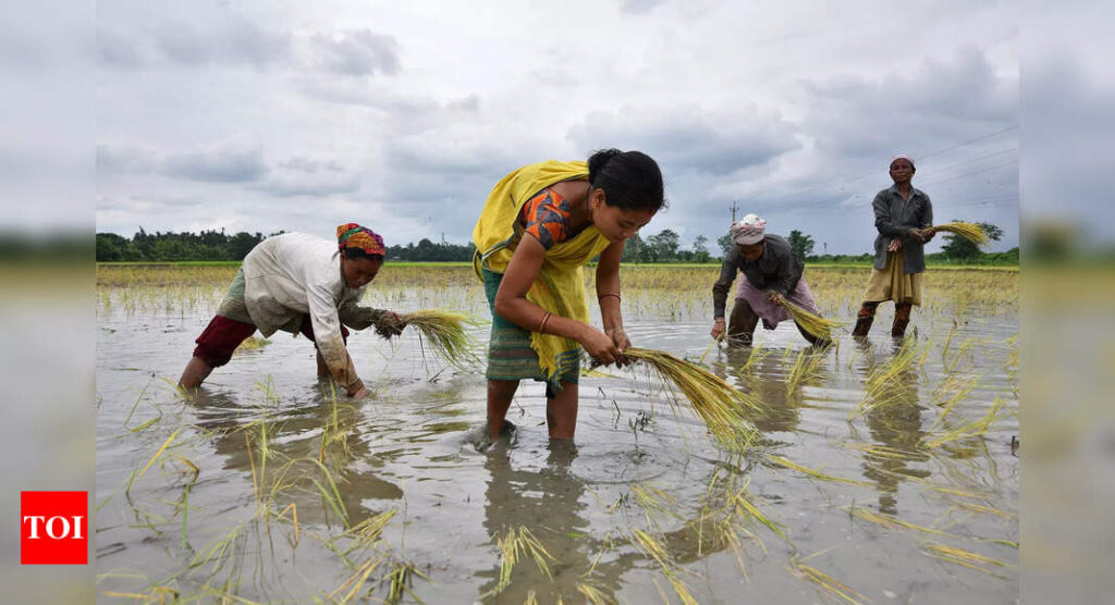 India faces questions at WTO on 7 million tonne gap in rice stock - Times of India