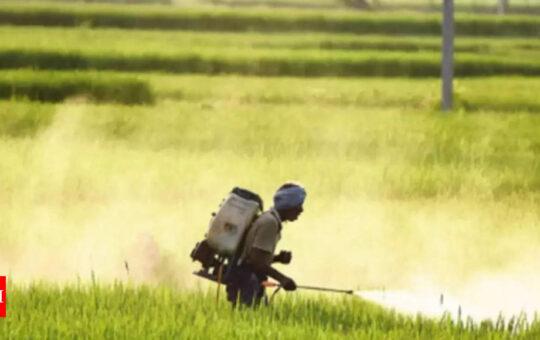 India to invest overseas, seek long-term deals in push for fertiliser - Times of India