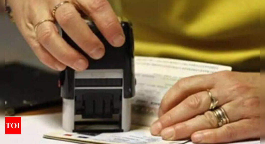 'Indians now have visa-free access to as many places as they did in pre-Covid times' - Times of India