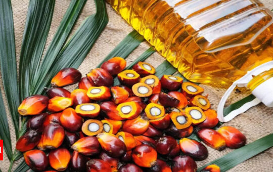 June palm oil imports jump 14.96% - Times of India